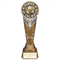Ikon Tower Player of the Match Award 225mm
