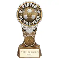 Ikon Tower Player of the Year Award 150mm