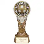 Ikon Tower Player of the Year 175mm