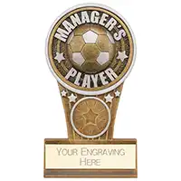 Ikon Tower Managers Player Award 125mm