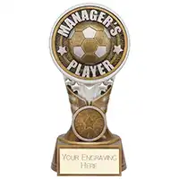 Ikon Tower Managers Player Award 150mm