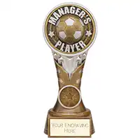 Ikon Tower Managers Player Award 175mm