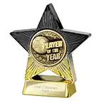 Superstar Player of the Year Award 110mm