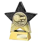 Superstar Player of the Year Award 140mm