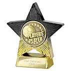 Superstar Players' Player Award 110mm