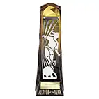 Shard Female Player of the Year 230mm