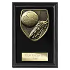 Cobra Dark Boot Ball Plaque 125mm