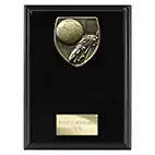 Cobra Dark Boot Ball Plaque 175mm