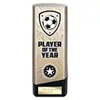 Gold Prime Player of the Year 190mm