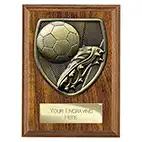 Cobra Wood Boot Ball Plaque 125mm Cobra Wood Boot Ball Plaque 125mm