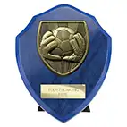 Cobra Blue Goalkeeper Shield 125mm