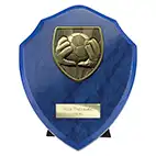 Cobra Blue Goalkeeper Shield 150mm