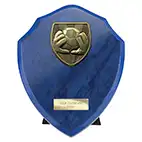 Cobra Blue Goalkeeper Shield 175mm