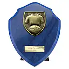 Cobra Blue Football Shield 150mm