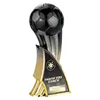 Firestorm Gold Thank You Coach 22cm Firestorm Gold Thank You Coach 22cm