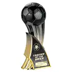Firestorm Gold Trainer of the Week 22cm Firestorm Gold Trainer of the Week 22cm