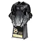 Invincible Black Player of the Month 220mm