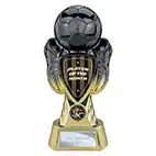 Player of the Month Gold Tournament Trophy 245mm Player of the Month Gold Tournament Trophy 245mm