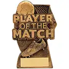 Gold Player of the Match Trophy 18cm