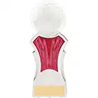 Strike Force White Pink Football Trophy 16cm Strike Force White Pink Football Trophy 16cm