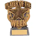 Player of the Week Gold 11.5cm Player of the Week Gold 11.5cm