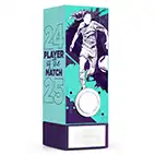 Teal Geo Female Player of the Match 17cm