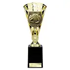Gold Cobra Star Goalkeeper Cup 255mm