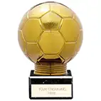 Fusion Viper Football Globe 125mm