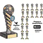 Pegasus Silver Cup 16cm Team Pack