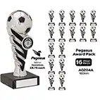 Pegasus Bright Silver Cup 16cm Team Pack
