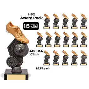 Gold Boot Silver Hex Team Pack 165mm Gold Boot Silver Hex Team Pack 165mm