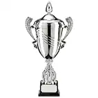 Metal Cups